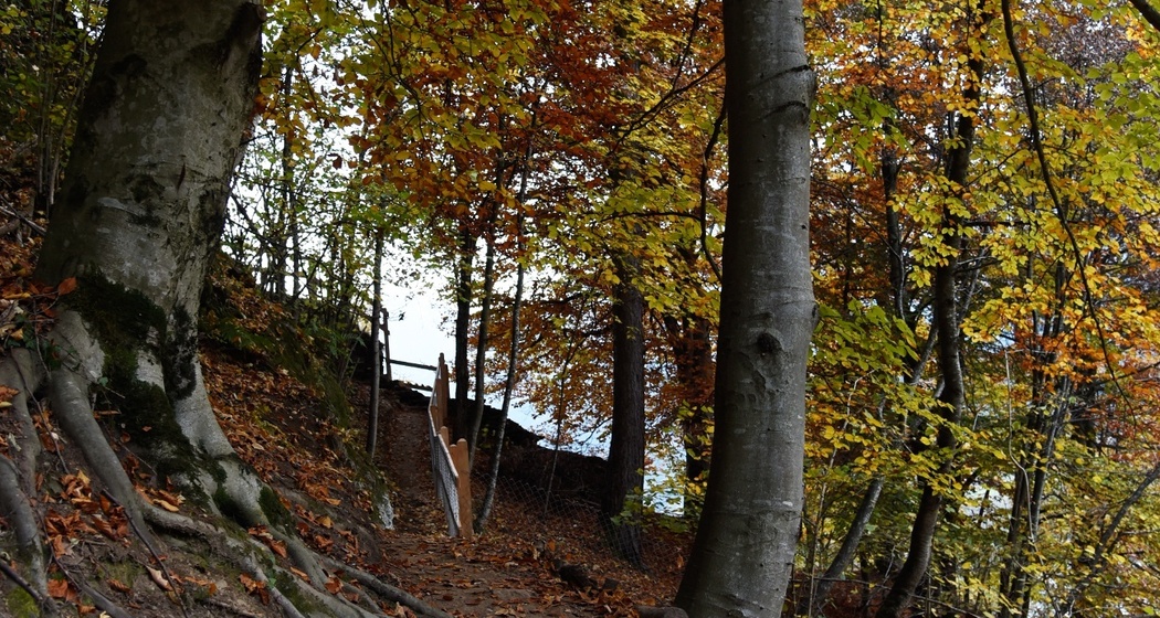 Runchett da Sotsassa