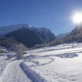 Winterwanderweg Bergün Zinols (oua_25269394_image)