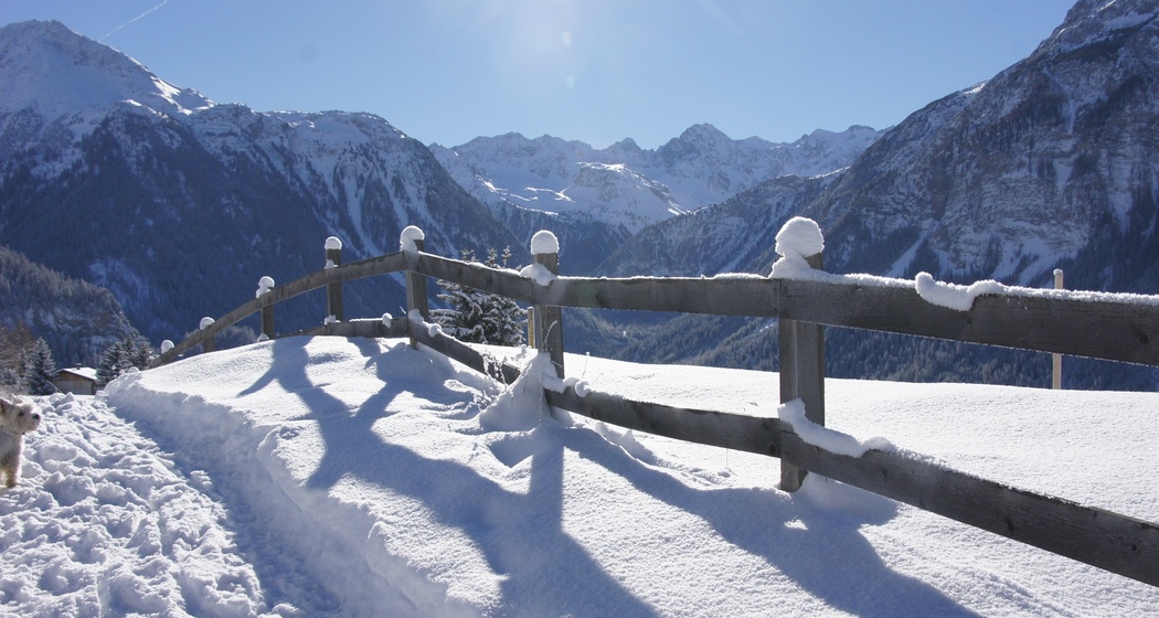 Latscher Panoramaweg (oua_25269546_image)