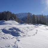 Latscher Panoramaweg (oua_25269561_image)