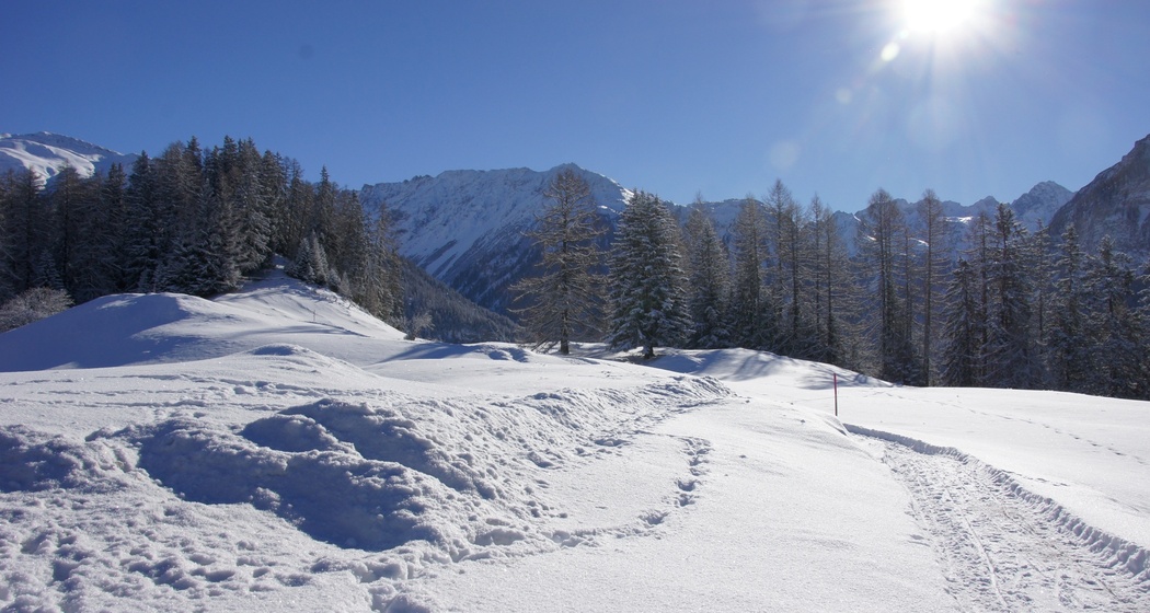 Latscher Panoramaweg (oua_25269561_image)