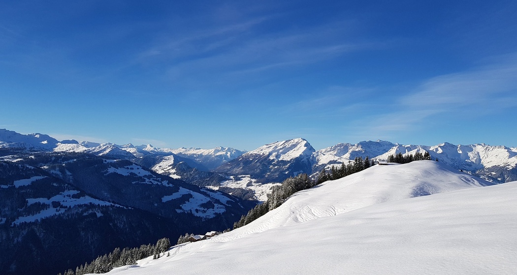 Blick Richtung Rheintal und Calanda.