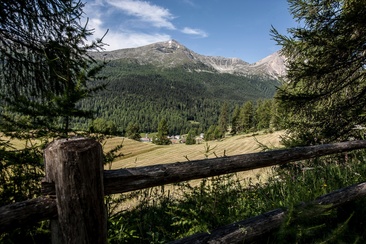 Aussicht auf Tschierv