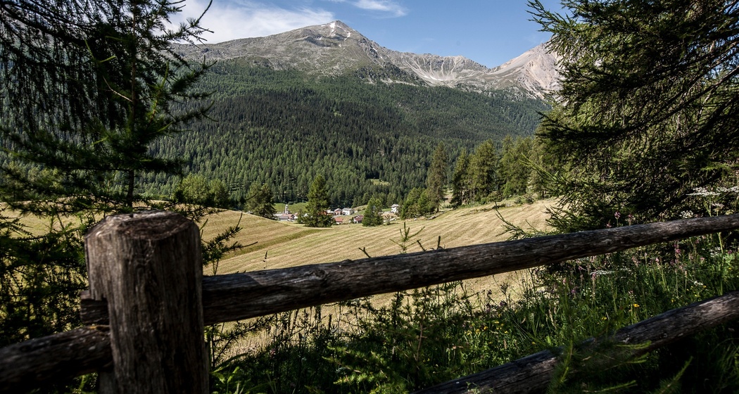 Aussicht auf Tschierv