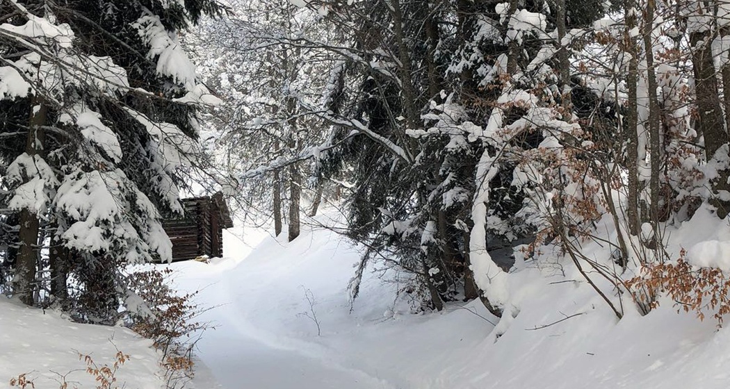 Winterwanderweg Fanas