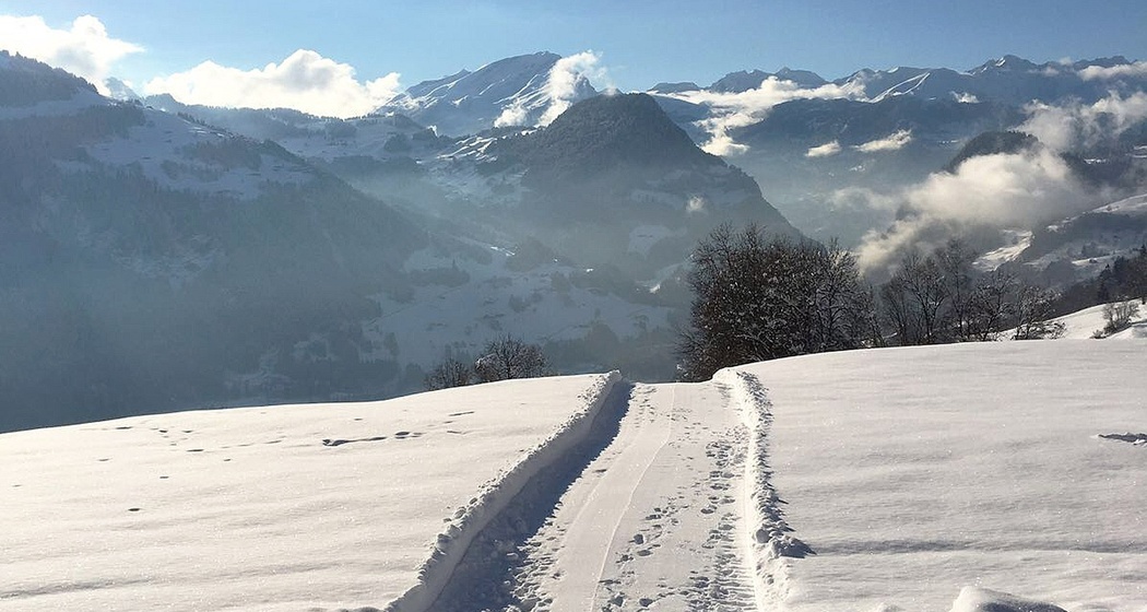 Winterwanderweg Fanas