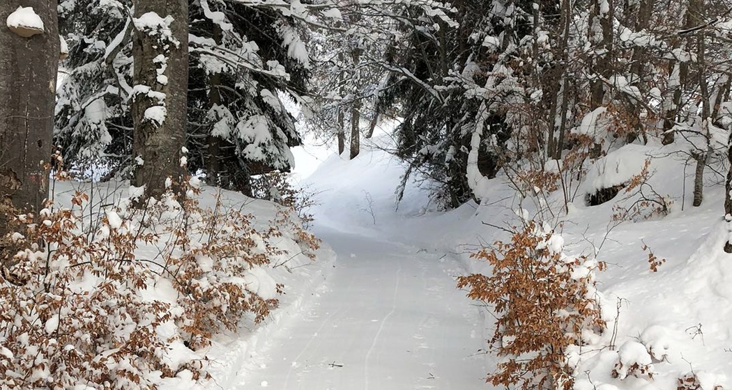 Winterwanderweg Fanas