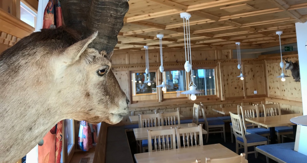 Restaurant Alp Trida Pizza & SB 3.0