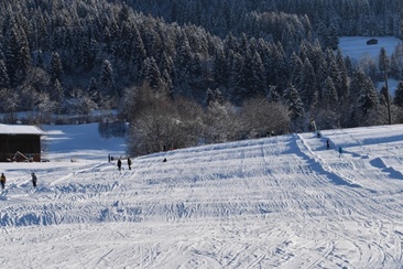 Skilift Pieinas, Castrisch (oua_25283531_image)