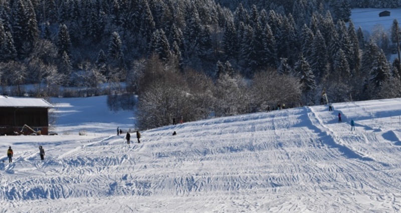 Skilift Pieinas, Castrisch (oua_25283531_image)