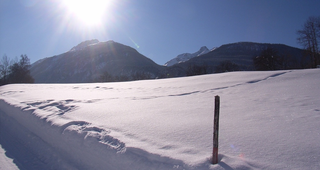 216 Schönboden-Weg (oua_25300990_image)