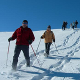 Signposted snowshoe trail: Camana - Safien Platz (oua_25354693_image)