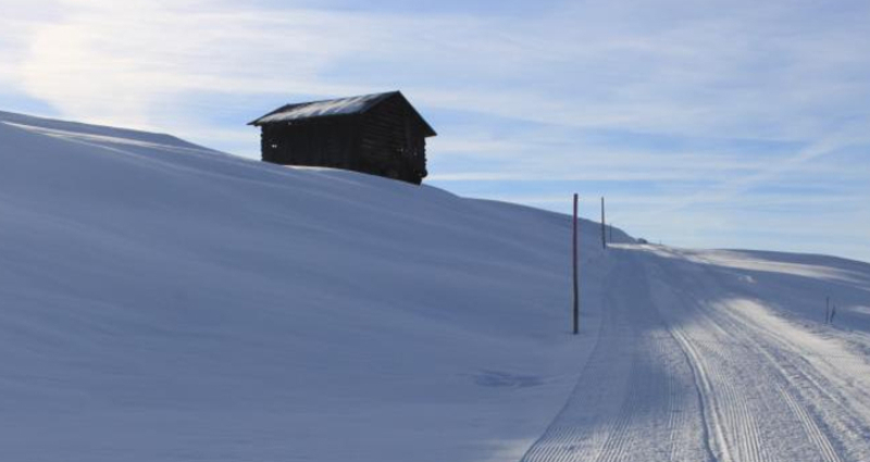 Panoramatour Kartitscha - Cuolm Sura - Bündner Rigi - Morissen/Vella (oua_25355657_image)