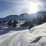 Panoramatour Kartitscha - Cuolm Sura - Bündner Rigi - Morissen/Vella (oua_25355705_image)