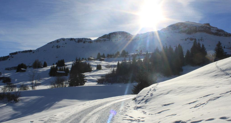 Panoramatour Kartitscha - Cuolm Sura - Bündner Rigi - Morissen/Vella (oua_25355705_image)