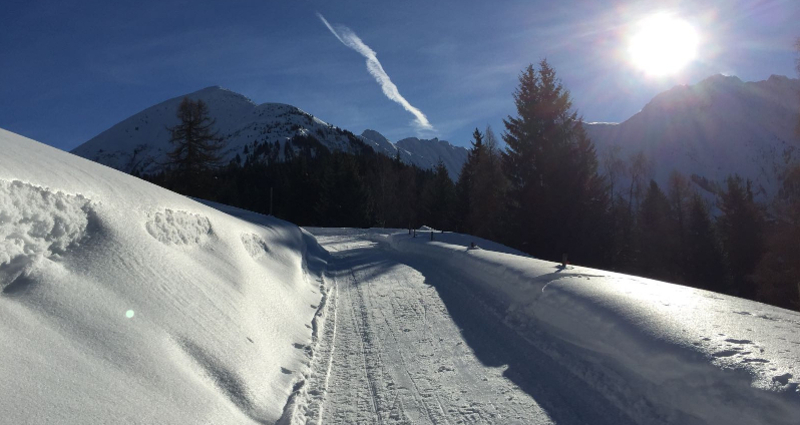 Schlittelbeizli Imschlacht (oua_25397572_image)