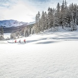 5 Palüds Fuldera - circular route «La mezdauna» (oua_25490248_image)