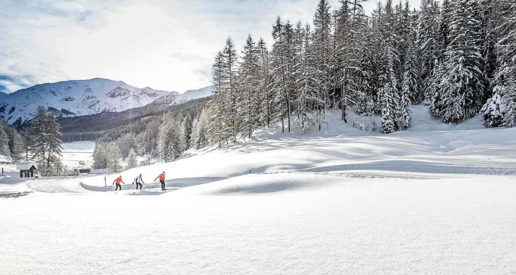 5 Palüds Fuldera - Rundloipe «La mezdauna» (oua_25490248_image)