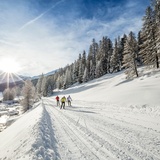 6 Palüds Fuldera - «La gronda» circular ski run (oua_25490952_image)