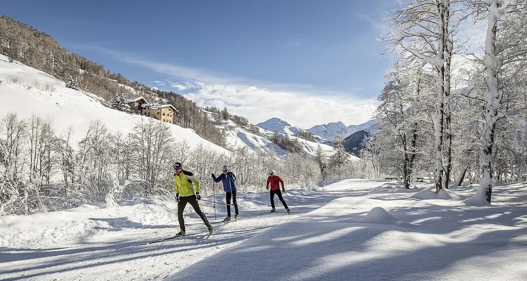 Langlaufen "La pretensiusa"