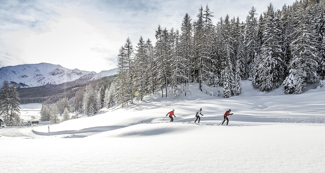 Langlaufen "La mezdauna"