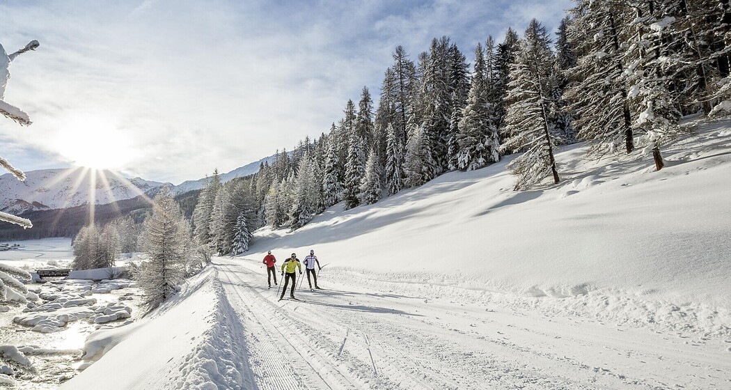 Langlauf "La gronda"