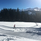 269 Pany-Loipe (oua_25498231_image)