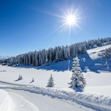 329 Grüsch-Danusa Panoramaweg (oua_25498503_image)