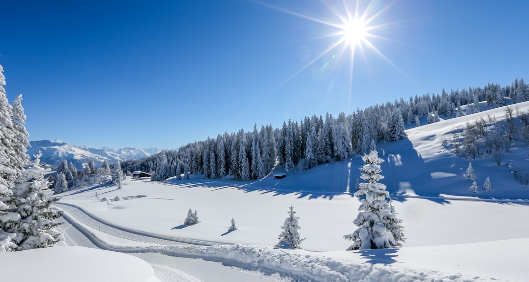 329 Grüsch-Danusa Panoramaweg (oua_25498503_image)