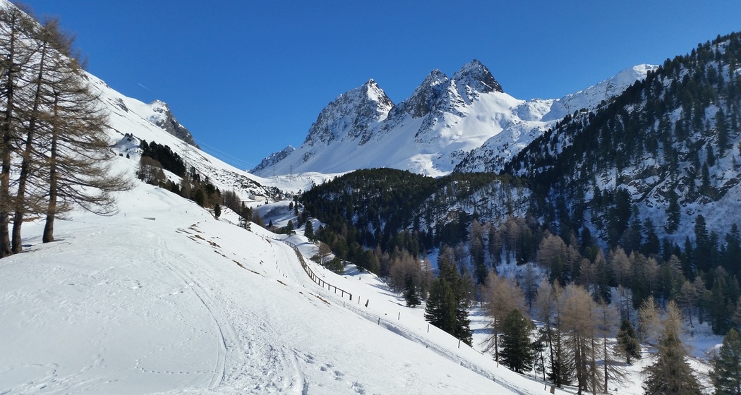 528 Schneeschuhtrail Palpuogna (oua_25543672_image)