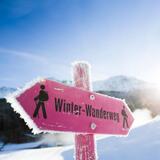 Signpost Winter Hiking Trail