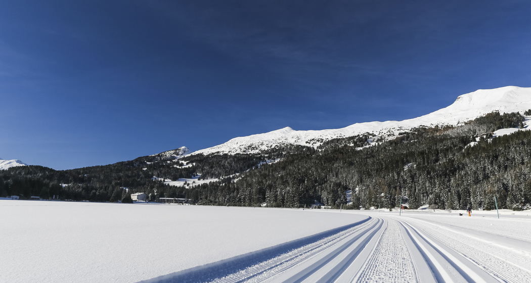 Langlauf Lenzerheide