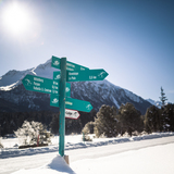 Langlauf Lenzerheide