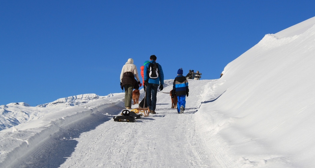 Schlittelweg Imschlacht - Brün (oua_25695451_image)