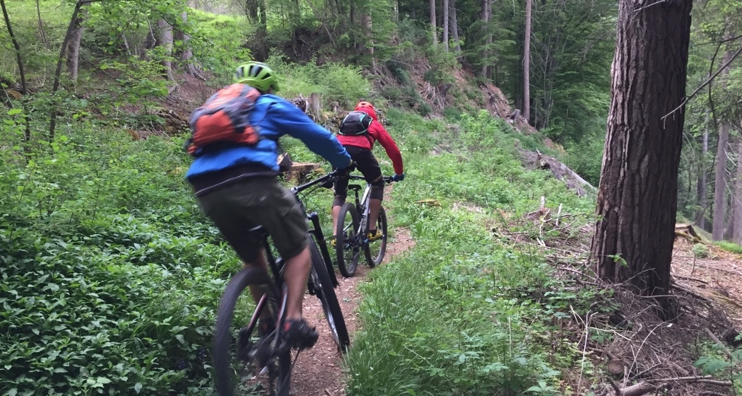 Trail zwischen Malix und Passugg