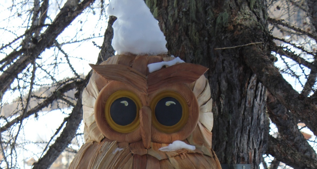 Märchenweg Samnaun im Winter (W8) (oua_25850061_image)