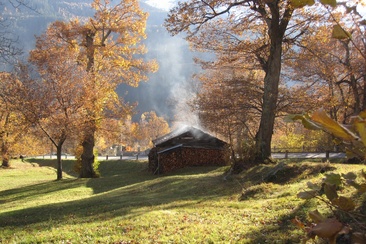 Kastanienwald - Plazza (oua_25899555_image)
