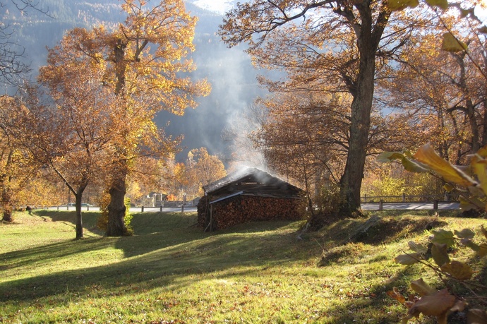 Kastanienwald - Plazza (oua_25899555_image)