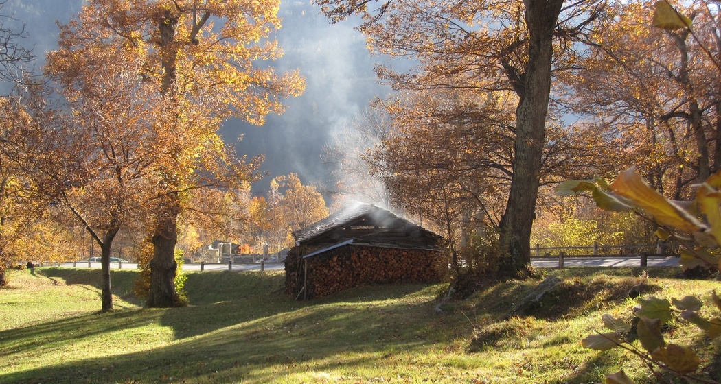Kastanienwald - Plazza (oua_25899555_image)