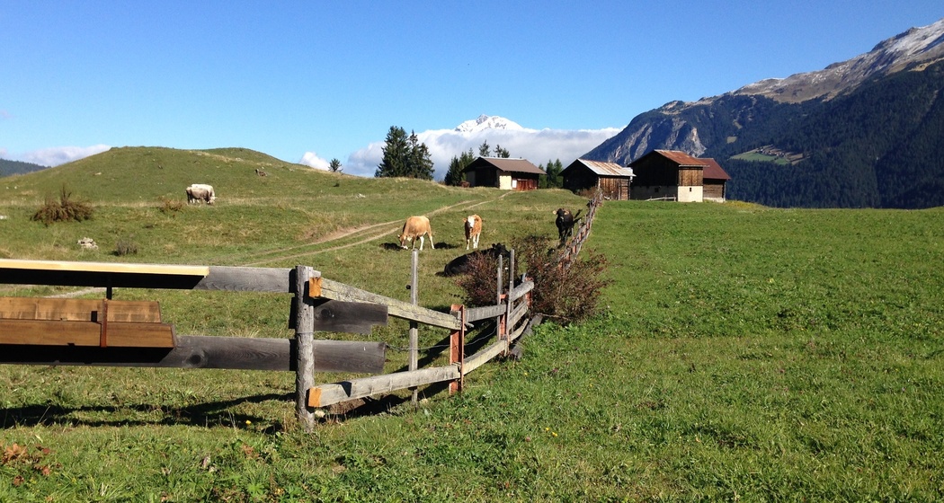 Tigignas - Fotgs - Parnoz - Savognin (Kinderwagengerecht) (oua_25901087_image)