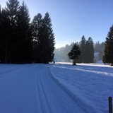 Langlaufloipe Seewis