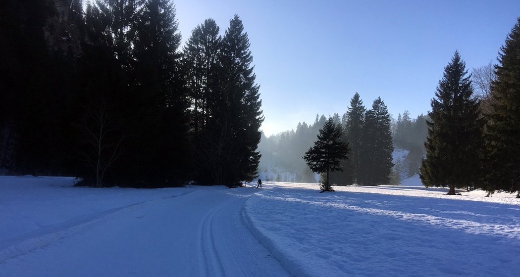 Langlaufloipe Seewis