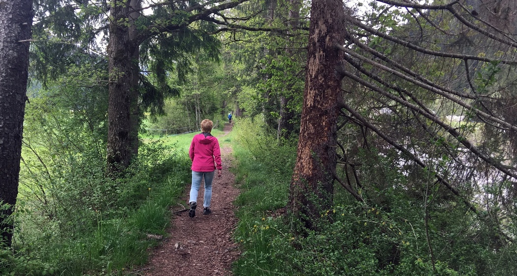 Unterwegs entlang der Landquart