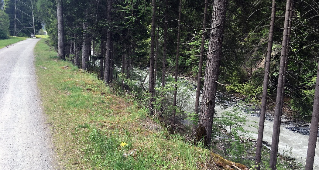 Unterwegs entlang der Landquart