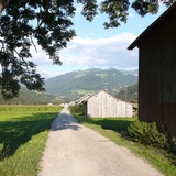 Fluss-Spaziergang entlang der rauschenden Landquart (oua_26086493_image)