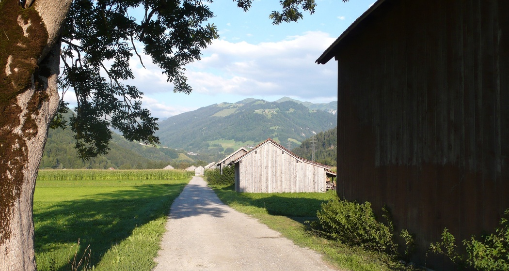 Fluss-Spaziergang entlang der rauschenden Landquart (oua_26086493_image)