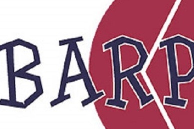 BARPUNTO (oua_26246096_image)