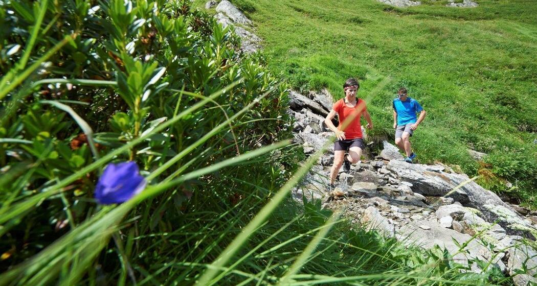 Lag Serein - Trail (oua_26247231_image)