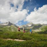 Bostg - Trail (oua_26247375_image)