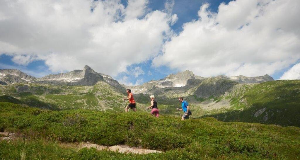 Bostg - Trail (oua_26247375_image)